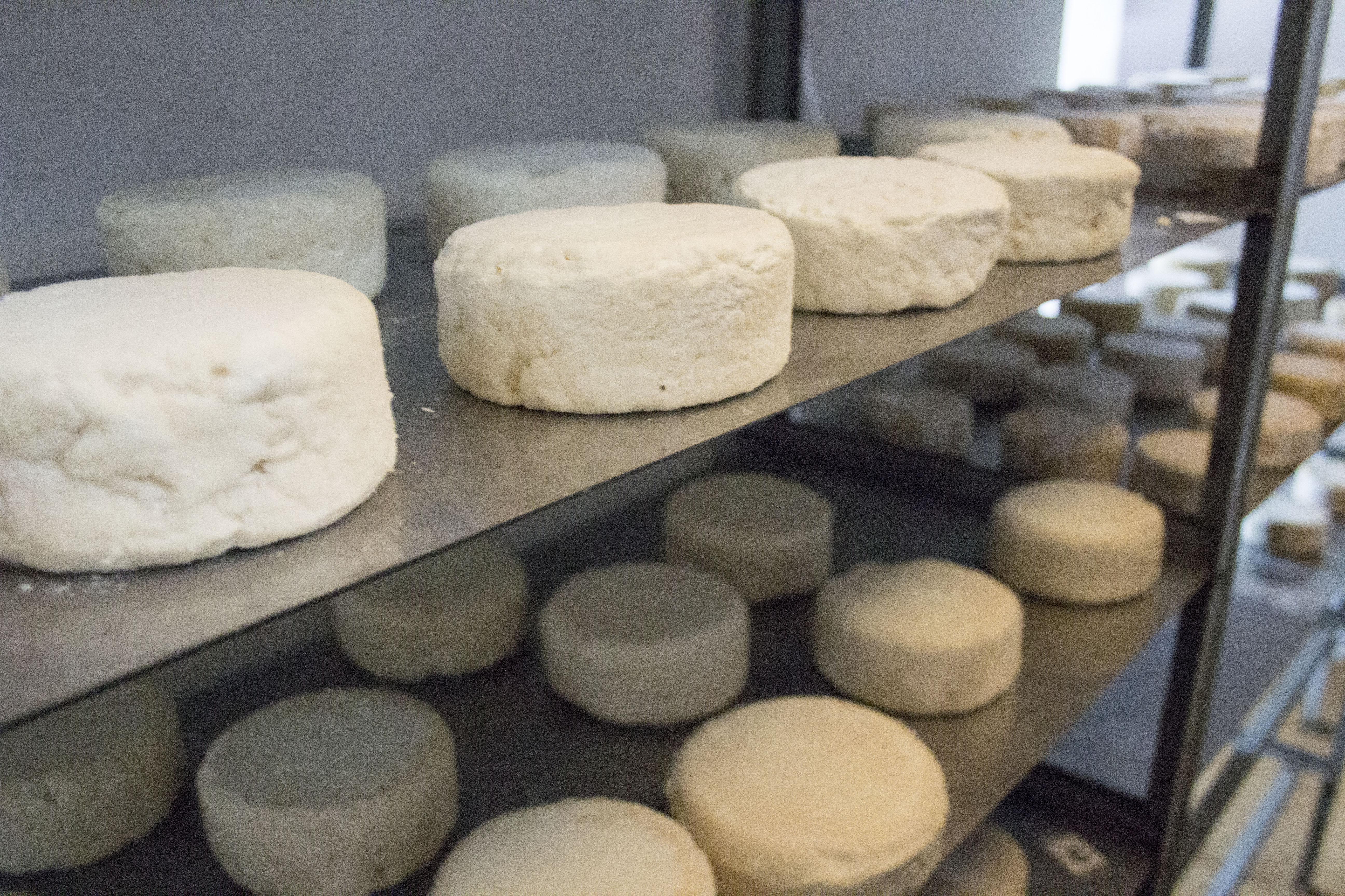 La cava del formatge Baridà