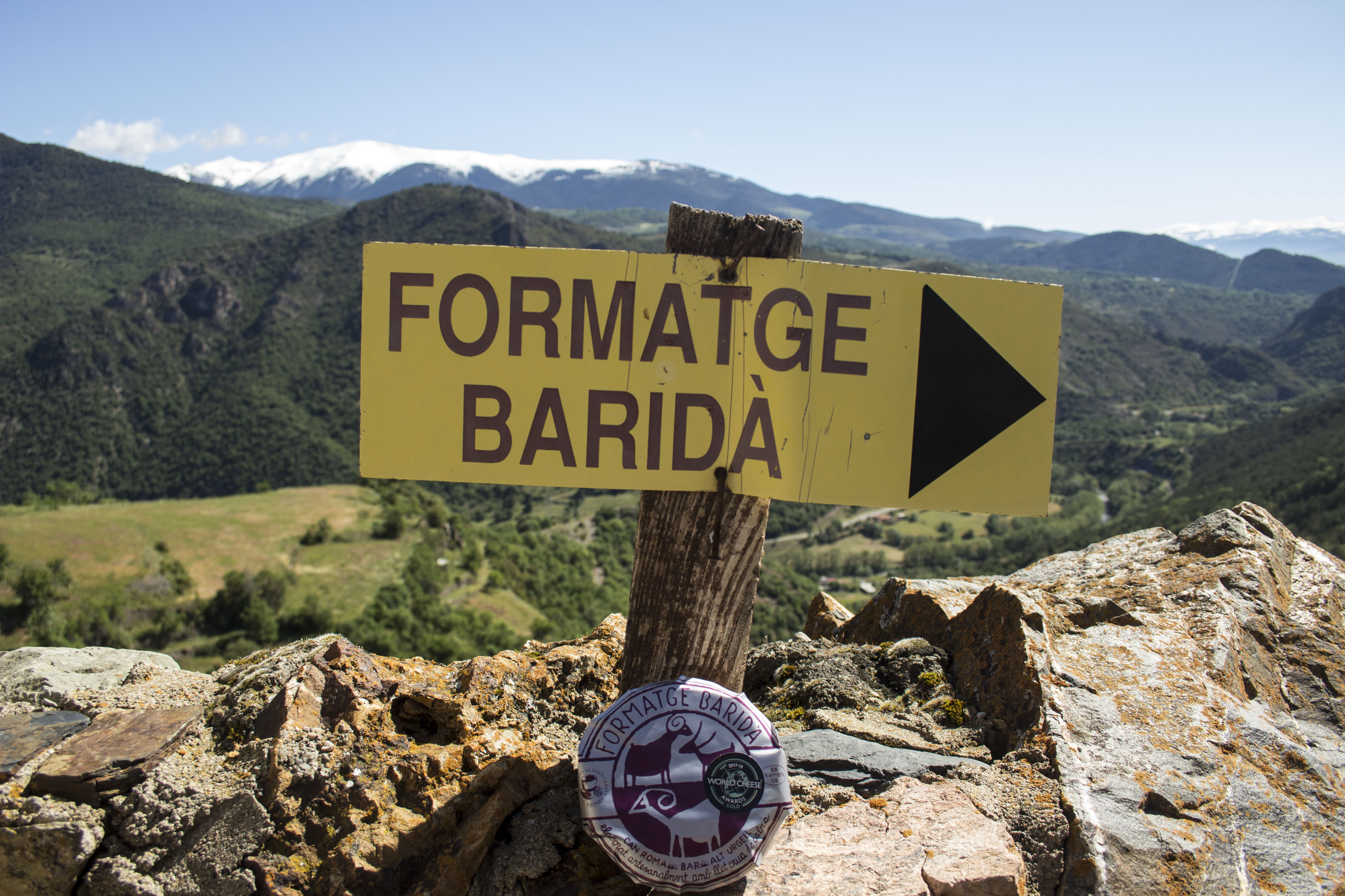 Formatge Baridà, formatge artesà de cabra